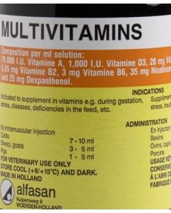 Multivitamins Cartoon - 12 pieces