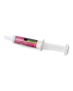 PaskaBooster Oral Paste For Horses 30Ml (Horse Energy And Stamina)