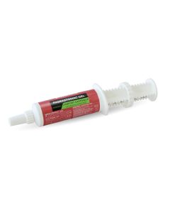 Paskastomac Gel Syringe 60Ml