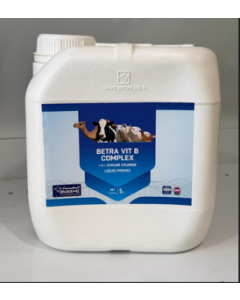 BETRA VIT B COMPLEX 5 LTR