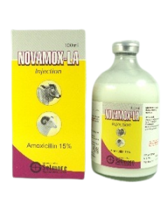 Novamox LA 100 ml Inj 