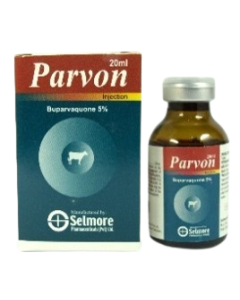 Parvon 20 ml Inj 