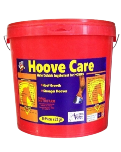 Hoove Care 20G X 60PCS