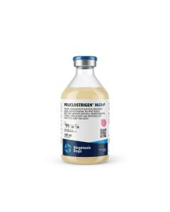 Policlostrigen MAX+P Vaccine For Cattle, Sheep & Goats 100Ml