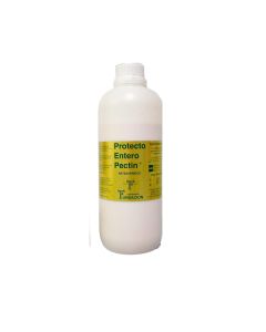 Protecto Entero Pectin Oral Solution For Diarrhea Treatment 900Ml