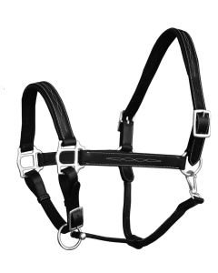 Black leather padded  fancey halter COB size