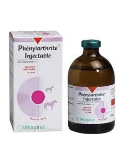 Phenylarthrite injectable 100 ml