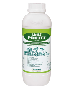 liv.52 protec liquid