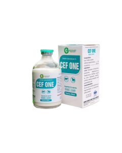 CEF ONE 100 ML