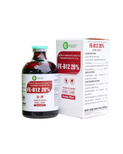 FE B12 20% 100 ml