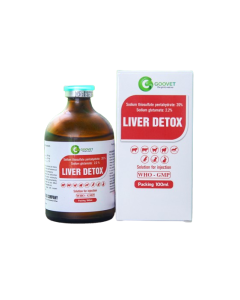 Liver detox 100 ml