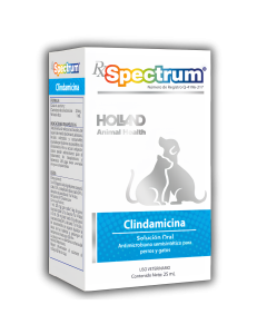 Spectrum Clindamicina Solution For Cats & Dogs 25 ml - Clindamycin Antibiotic