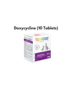 Spectrum Doxiciclina Tablets For Cats & Dogs 50mg (10 Tablets) - Doxycycline Antibiotic
