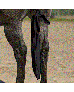 Tail Bag