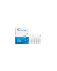 Traumeel LT ad us. vet. Injection - (Box contains 5 Ampoules)