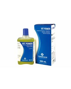 Vit Power Injectable Solution 500Ml