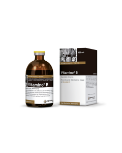 Vitamino B 100 ml