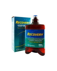 Viterra Recovery Solution For Injection 500Ml