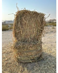 Bread Hay