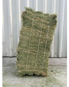 Pressed Alfalfa 50 Kg