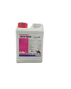 Lacto yeasts 1 L