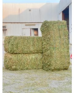 Egyptian alfalfa 28kg