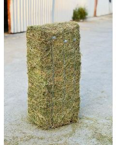 Egyptian Alfalfa 28-30 Kg