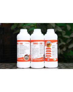Enro -10S