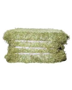 American Timothy 50kg