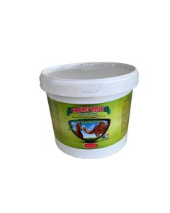 Energy Mix : complex of vitamins, minerals, and amino acids 20KG