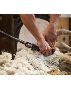Book a Sheep Shearing & Grooming Appointment 