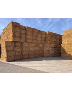 Mixed Barley & Alfalfa Hay