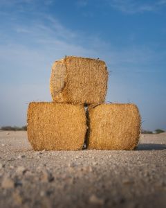 Wheat straw L